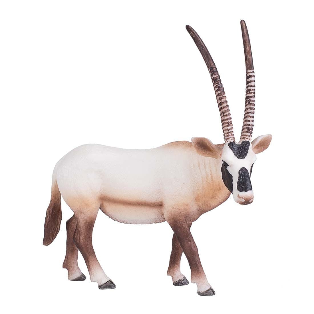 ANIMAL PLANET-ΌΡΥΞ-XL