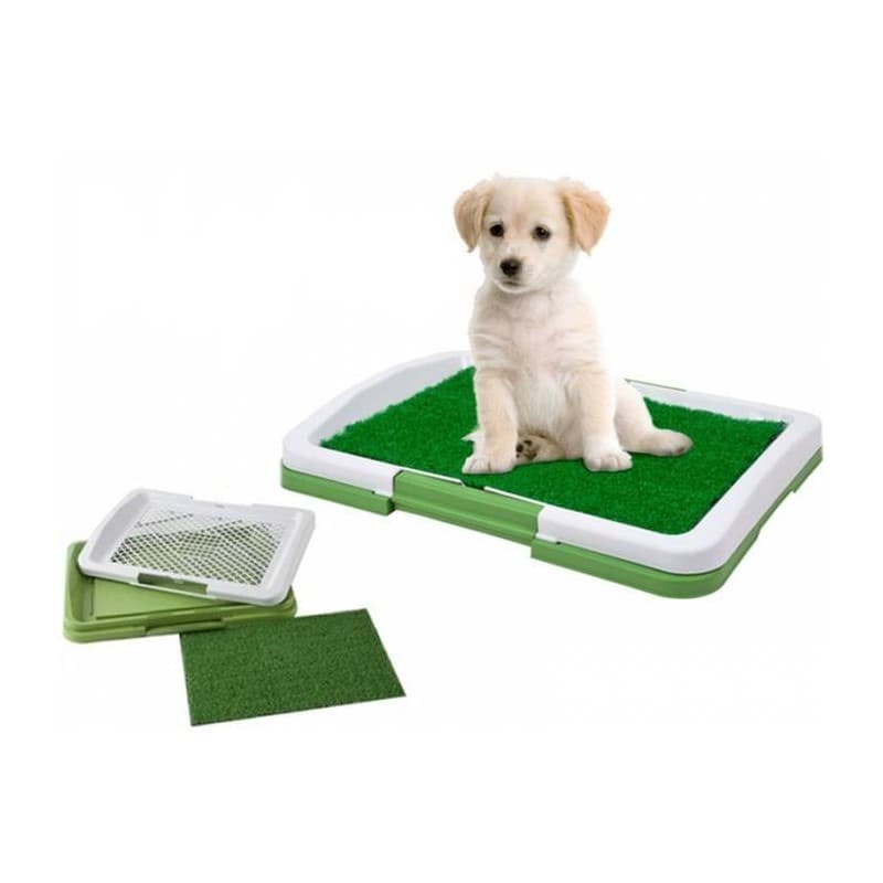 Φορητή Τουαλέτα Για Κατοικίδια – Puppy Toilet Training Tray 47Χ34Χ6 CM