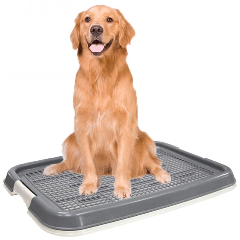 Φορητή Τουαλέτα για Κατοικίδια - Nunbell Puppy Trainer