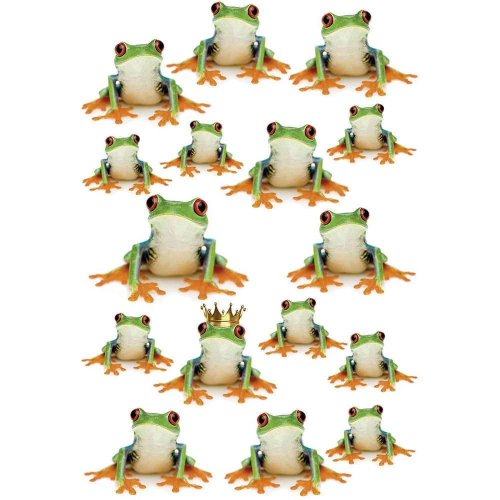 Διακοσμητικά Αυτοκόλλητα Frogs 1909 23x34cm Green Kleine Wolke