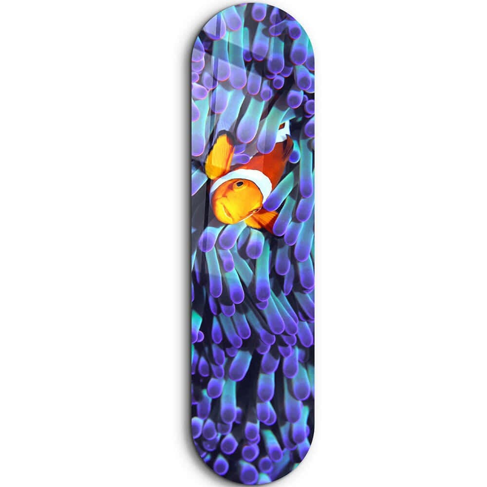 Πίνακας Γυάλινος Clown Fish 226SNG1119 20x80cm Multi Wallity