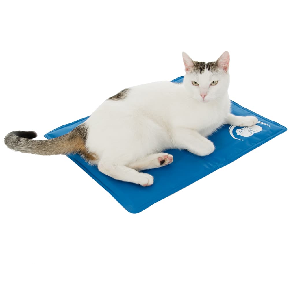 Στρώμα Δροσιάς Κατοικιδίων Keep Cool - Μ 50 x Π 40 cm