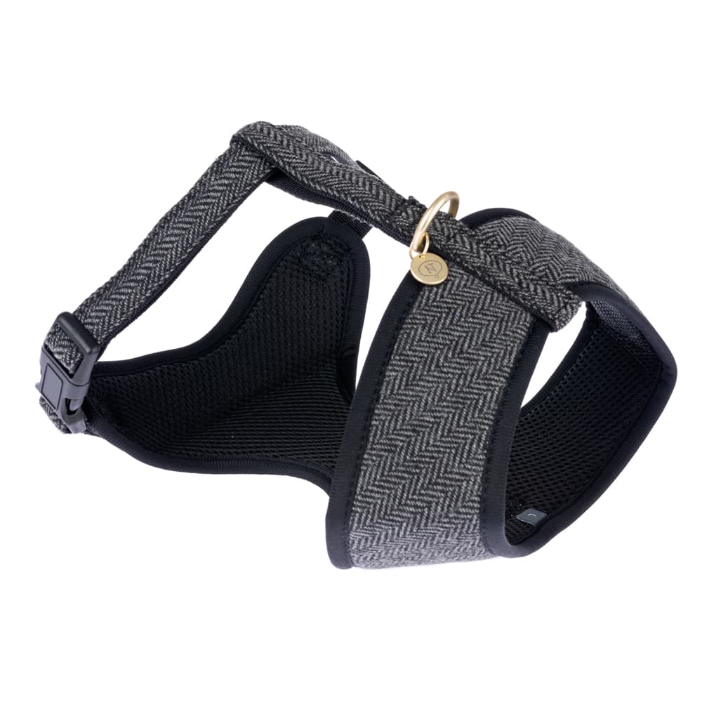 Nomad Tales Calma Σαμαράκι, μαύρο - Μέγεθος M: 38 - 56 cm περίμετρος θώρακα