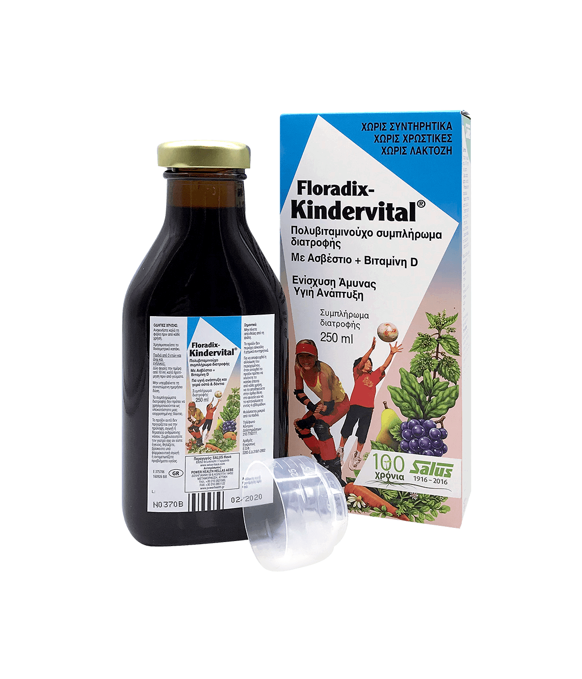 POWER HEALTH Floradix Kindervital Sirop 250ml