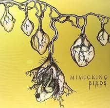 MIMICKING BIRDS / MIMICKING BIRDS - LP 180gr