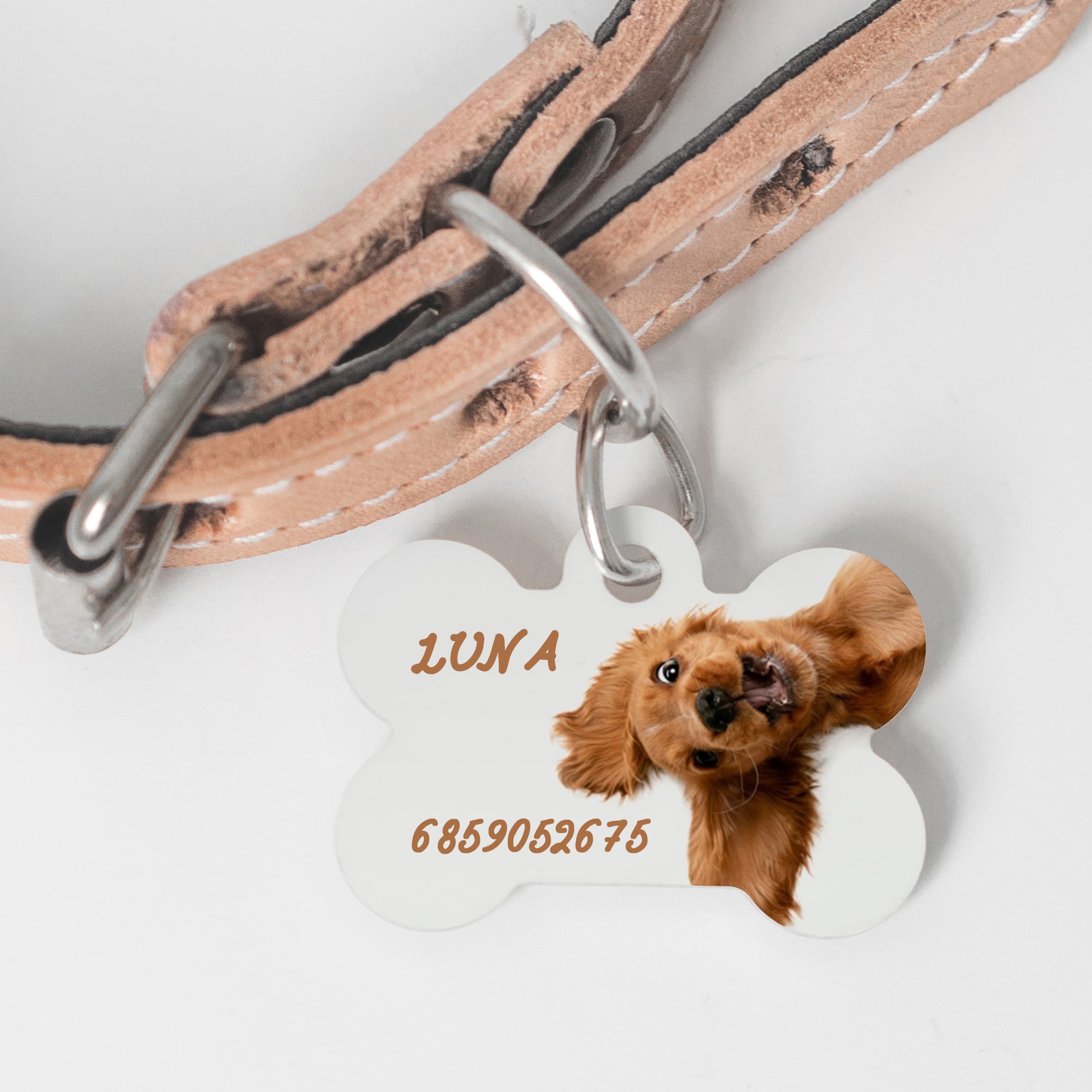 My Pet - Ταυτότητα Κατοικιδίου - Κόκκαλο